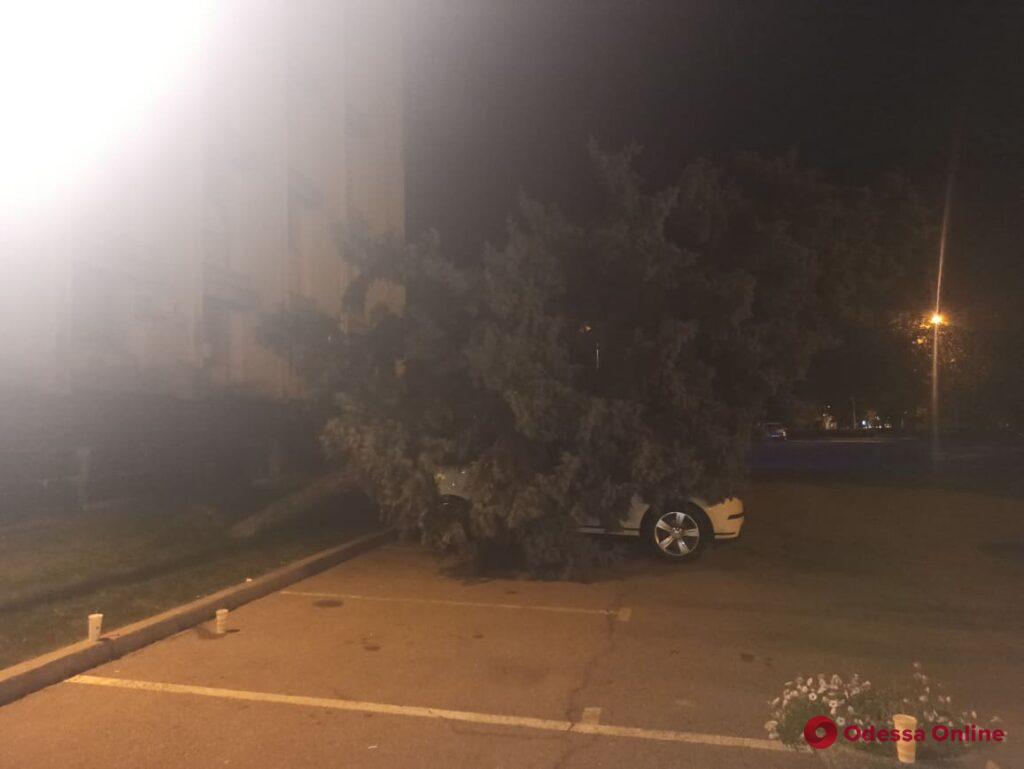 Возле Одесской ОГА голубая ель рухнула на внедорожник