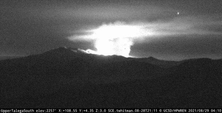 ˳  dqxikeidqxiqqdant