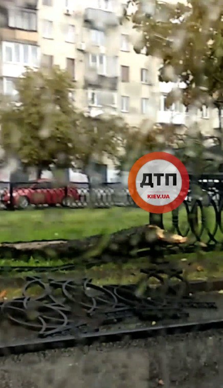 киев dqxikeidqxidqrant