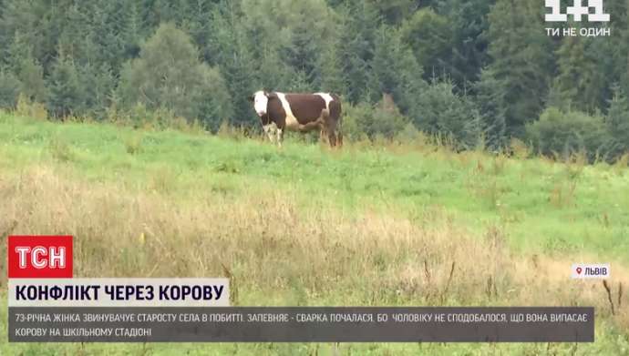 Корова Малина. dqxikeidqxidqeant