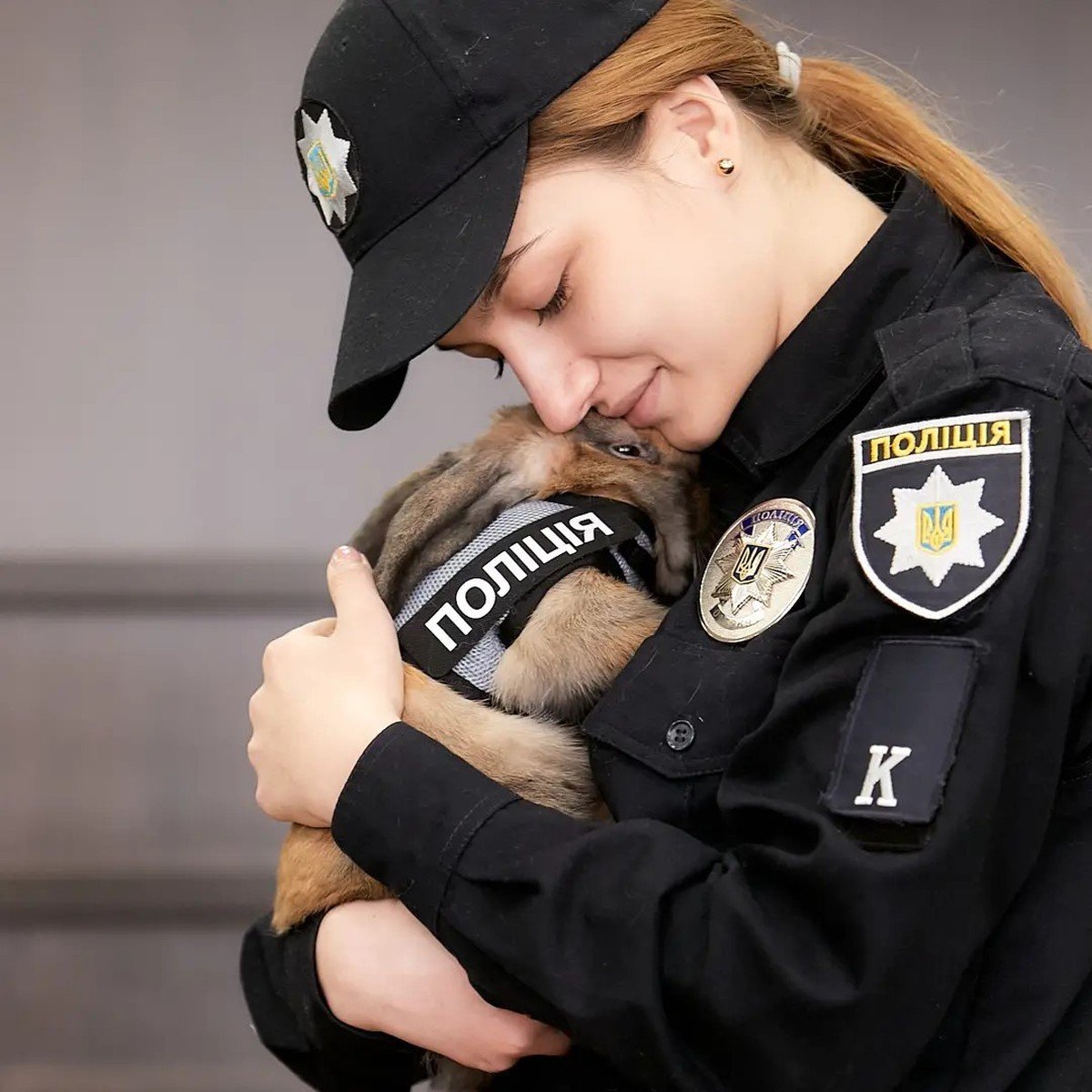 Днепровский кролик-полицейский устроился на работу - фото, видео - фото 1 dqxikeidqxidqeant