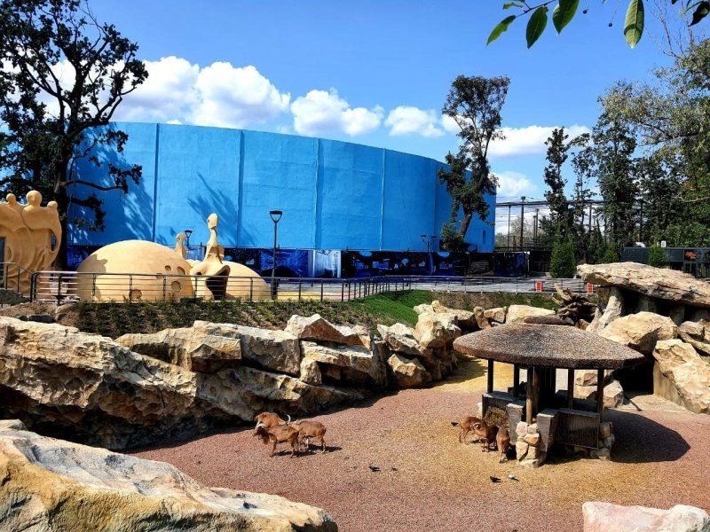 Харьков, зоопарк, животные,