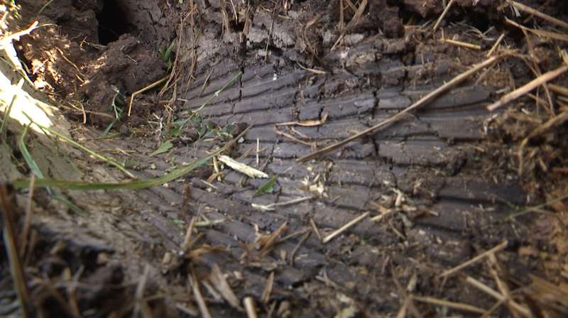     ,     dqxikeidqxiuuant