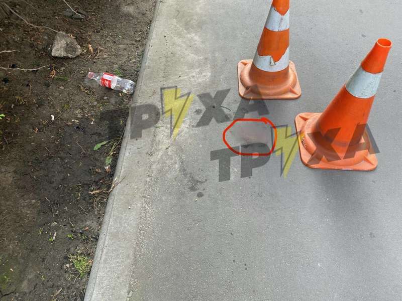 Рядом с плодом лежала вата, маска и лидокаин dqxikeidqxidqeant