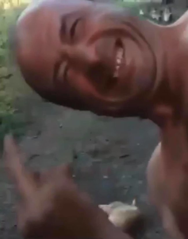 Мужчина жестоко убил кота в Черновицкой области, сняв это на видео: Зоозащитники требуют привлечь его к ответственности 01 dqxikeidqxidqrant