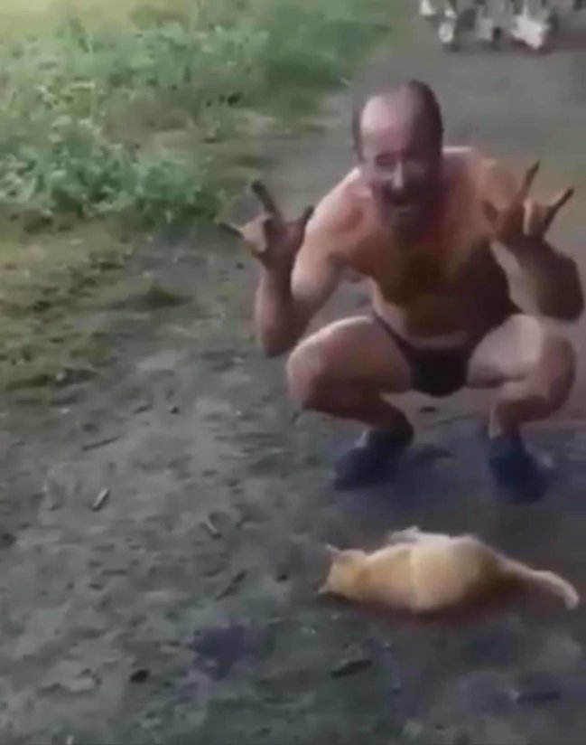 Мужчина жестоко убил кота в Черновицкой области, сняв это на видео: Зоозащитники требуют привлечь его к ответственности 03