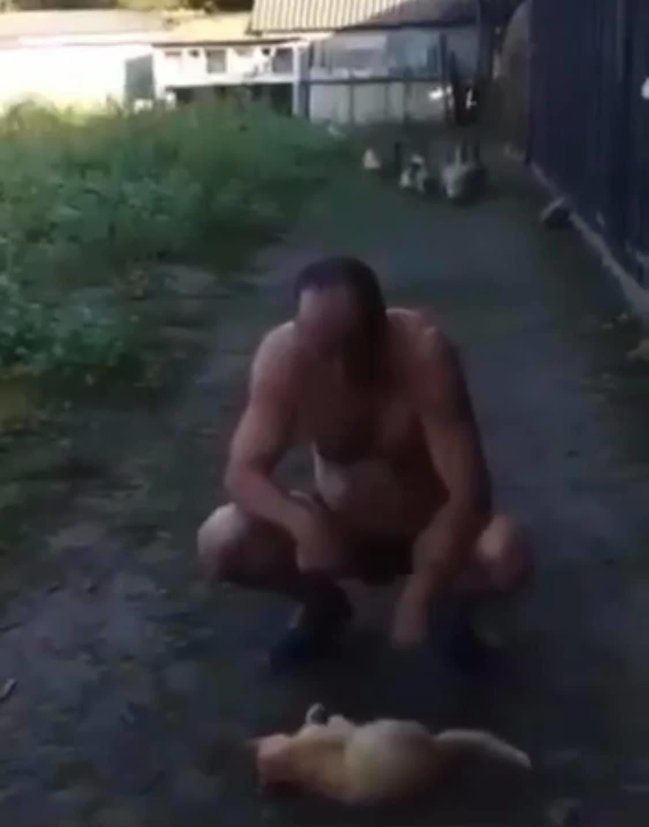 Мужчина жестоко убил кота в Черновицкой области, сняв это на видео: Зоозащитники требуют привлечь его к ответственности 04