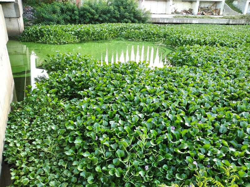   ó    dqxikeidqxidqeant