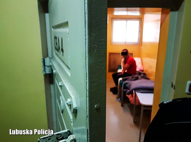 Трех граждан Украины задержали в Польше за сбыт похищенных автомобилей 11