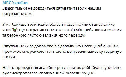   .   -  dqxikeidqxidqrant