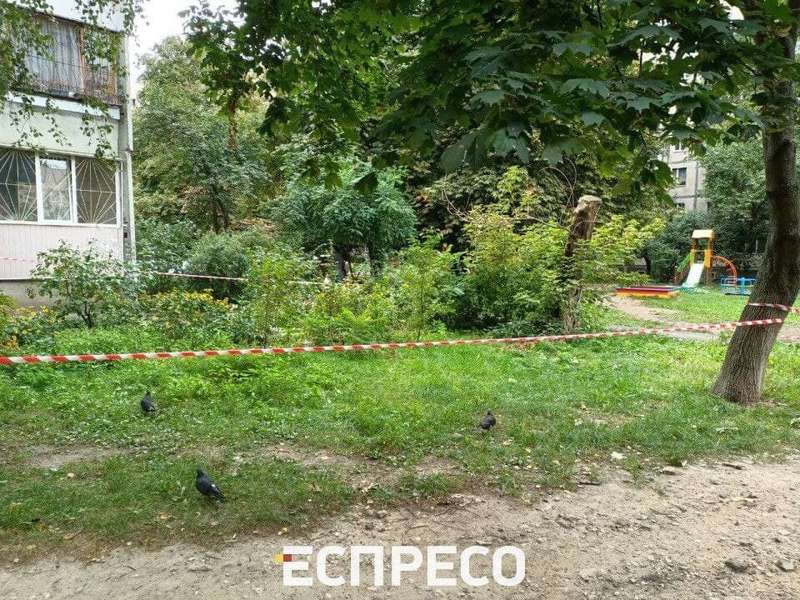 Место убийства. dqxikeidqxidqeant