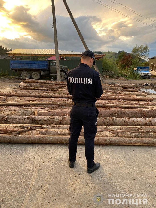       01 dqxikeidqxidqeant