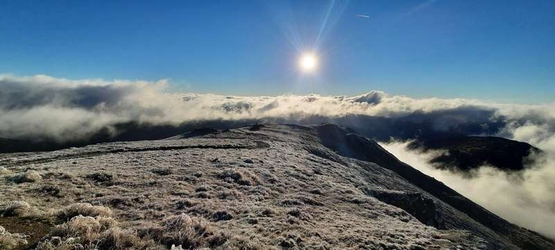   -6 . dqxikeidqxidqeant