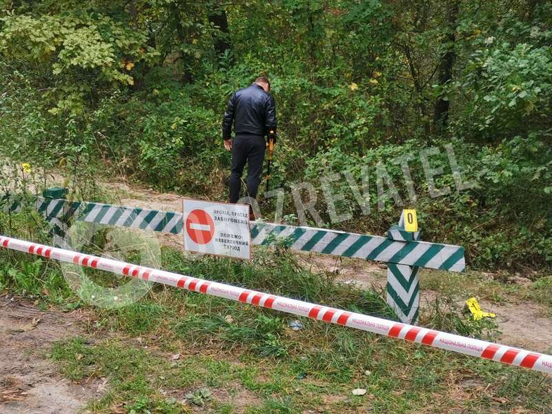 Правоохранители обнаружили труп при прочесывании леса возле места покушения на Шефира dqxikeidqxidqrant