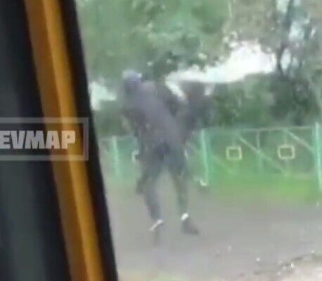     ,   . dqxikeidqxidqeant