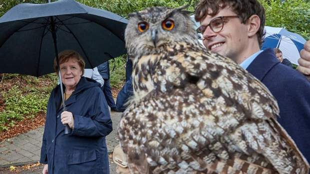 Меркель та Меркель та