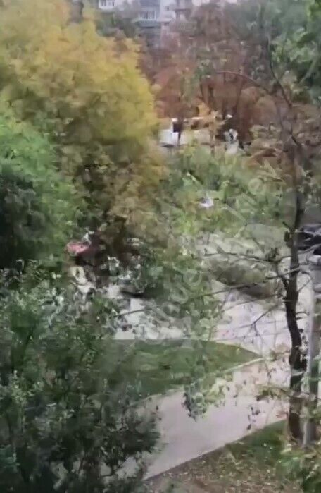 Скриншот dqxikeidqxidqrant