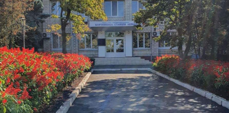      80%,     , ,     dqxikeidqxidqeant