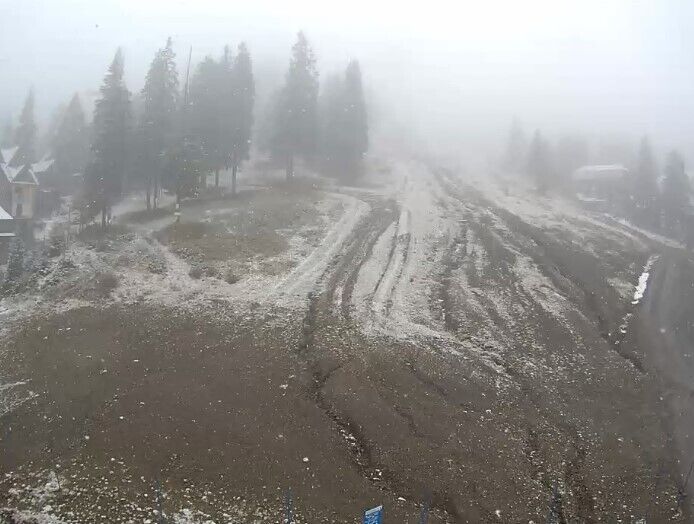 Скриншот dqxikeidqxiqdzant