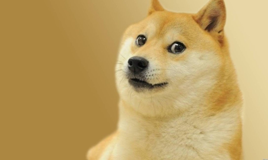  Dogecoin dqxikeidqxieeant