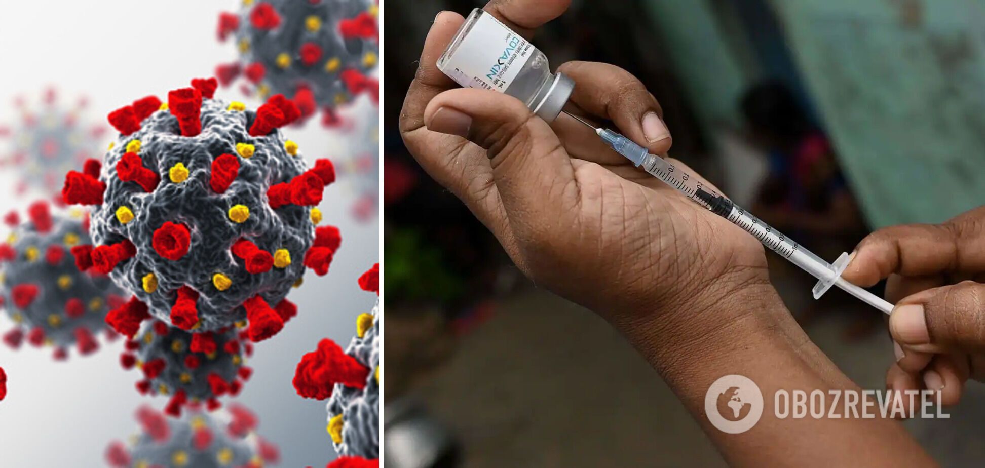 Вакцину Covaxin следует вводить двумя дозами с интервалом в 28 дней