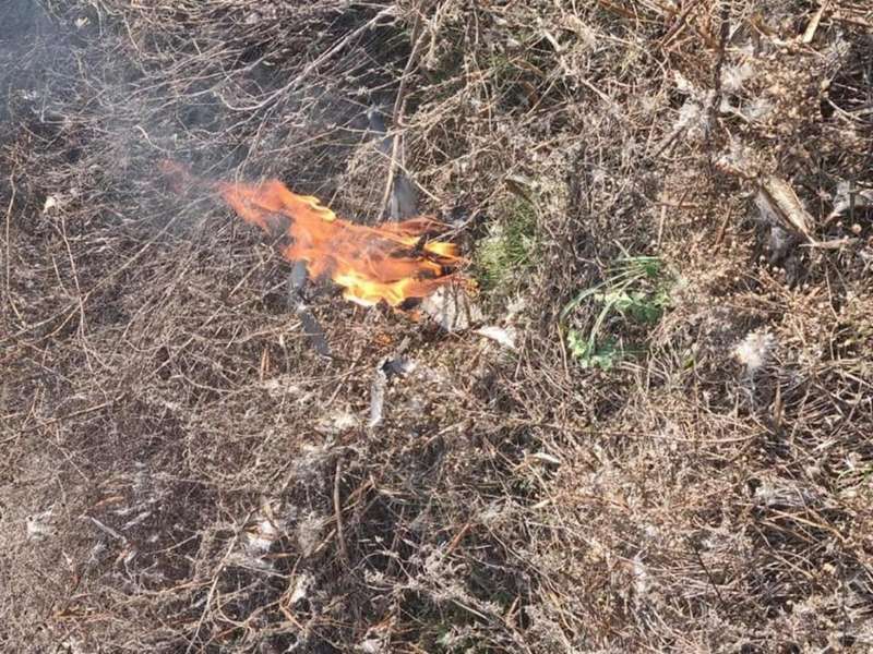 Украинские военные сбили вооруженный российский беспилотник / фото facebook.com/pressjfo.news dqxikeidqxidqrant