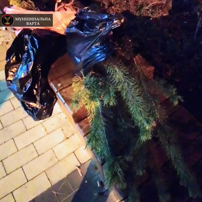       &quot;&quot;:   dqxikeidqxidqrant