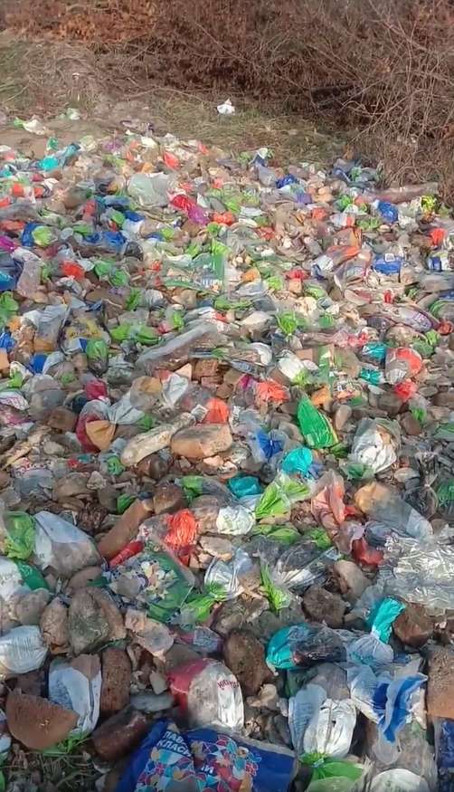 Сотни буханок хлеба просто выбрасываются dqxikeidqxidqrant