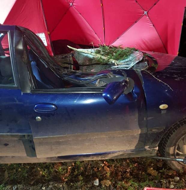 Трагедія у Польщі Трагедія у Польщі dqxikeidqxidqeant