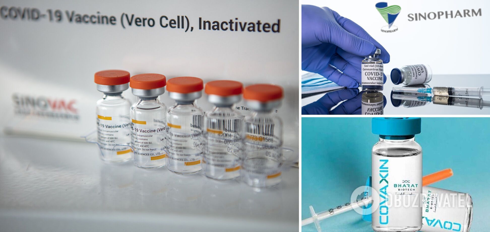       CoronaVac, Sinopharm  Covaxin dqxikeidqxiqzant