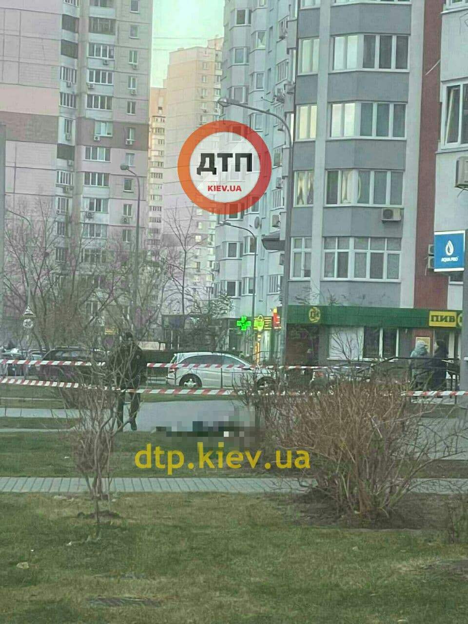       9   ,      dqxikeidqxidqeant