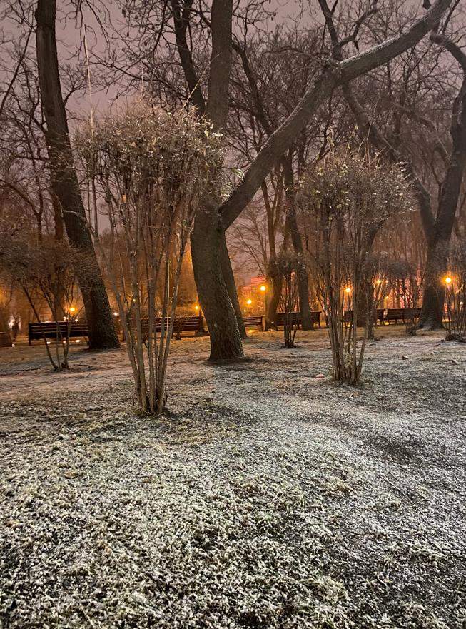 снігопад у Києві dqxikeidqxidqeant