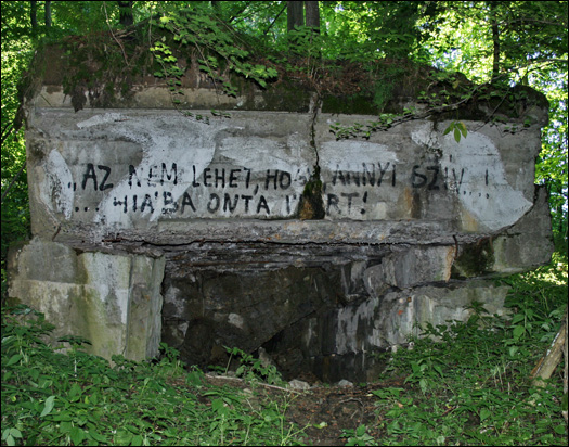 Таємні бункери Закарпаття: Як знання броду підштовхує лізти у воду - фото 2 Таємні бункери Закарпаття: Як знання броду підштовхує лізти у воду - фото 2