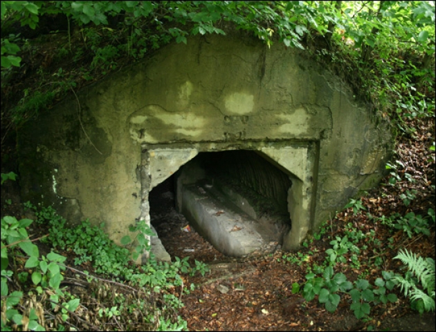 Таємні бункери Закарпаття: Як знання броду підштовхує лізти у воду - фото 4 Таємні бункери Закарпаття: Як знання броду підштовхує лізти у воду - фото 4