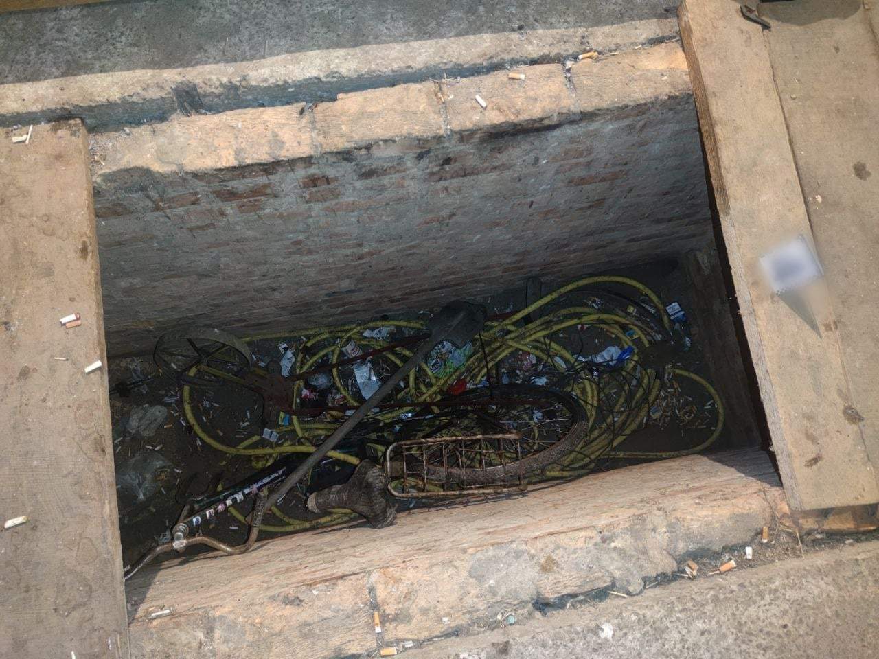 у Білій Церкві чоловіки підпалили товариша dqxikeidqxidqrant