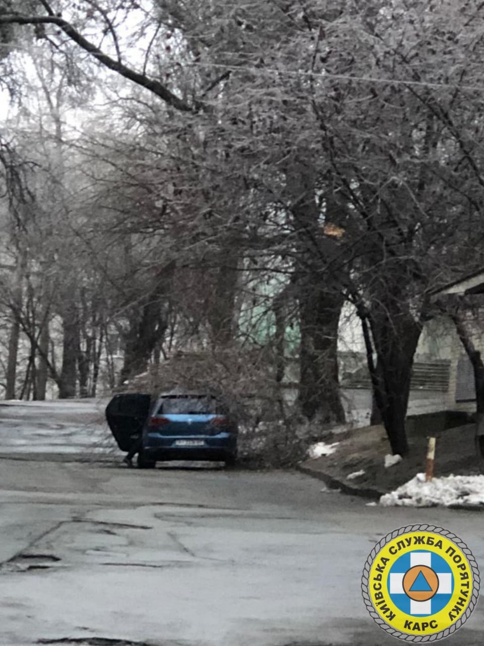Десятки поваленных деревьев. Появились фото последствий ледяного дождя в Киеве dqxikeidqxidqrant