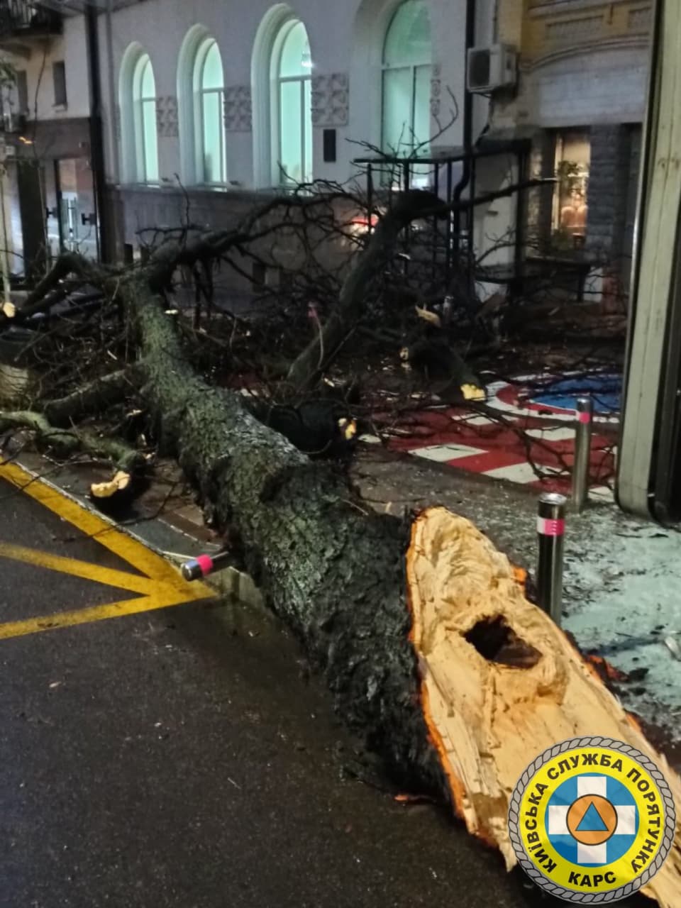 Десятки поваленных деревьев. Появились фото последствий ледяного дождя в Киеве