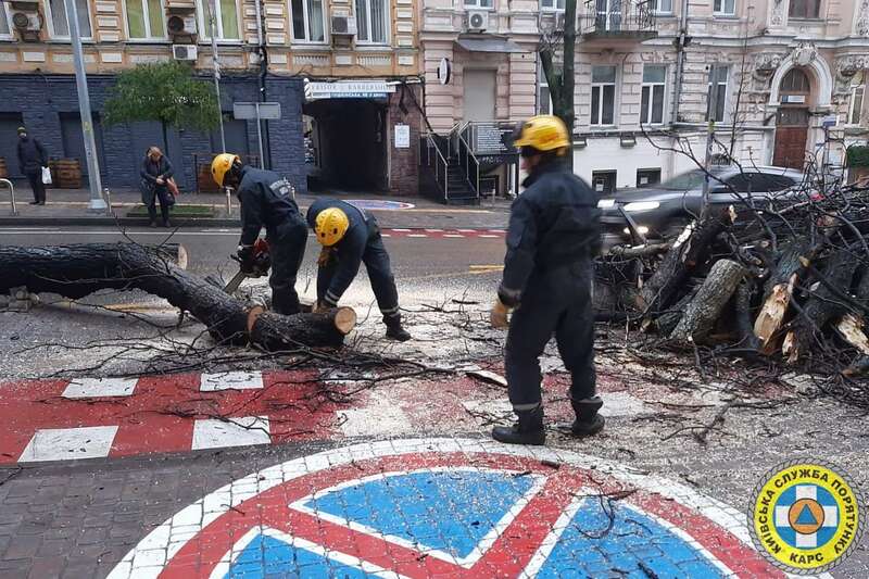 Десятки поваленных деревьев. Появились фото последствий ледяного дождя в Киеве