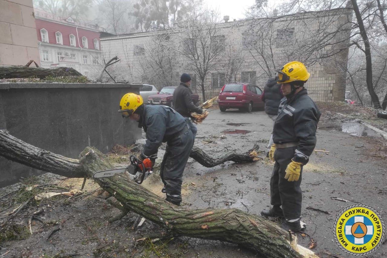 Десятки поваленных деревьев. Появились фото последствий ледяного дождя в Киеве