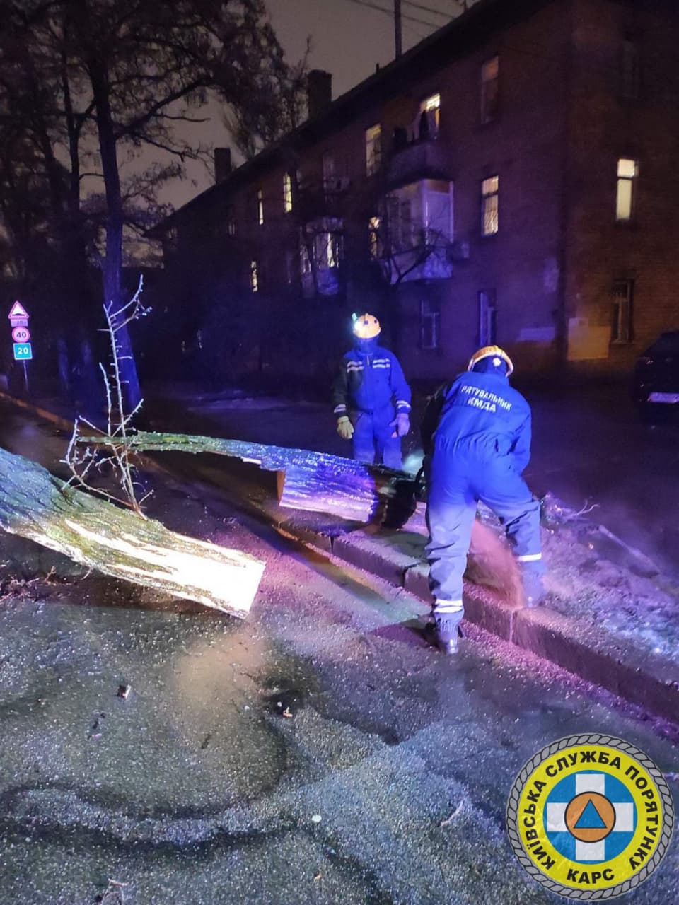 Десятки поваленных деревьев. Появились фото последствий ледяного дождя в Киеве