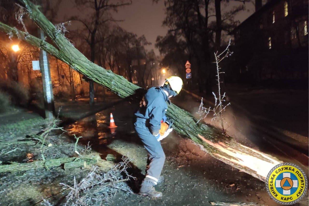 Десятки поваленных деревьев. Появились фото последствий ледяного дождя в Киеве