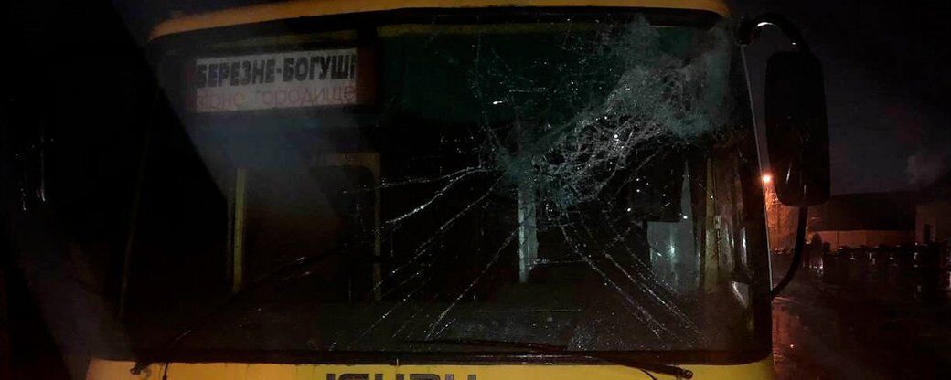 Бревно повредило лобовое стекло маршрутки dqxikeidqxidqrant