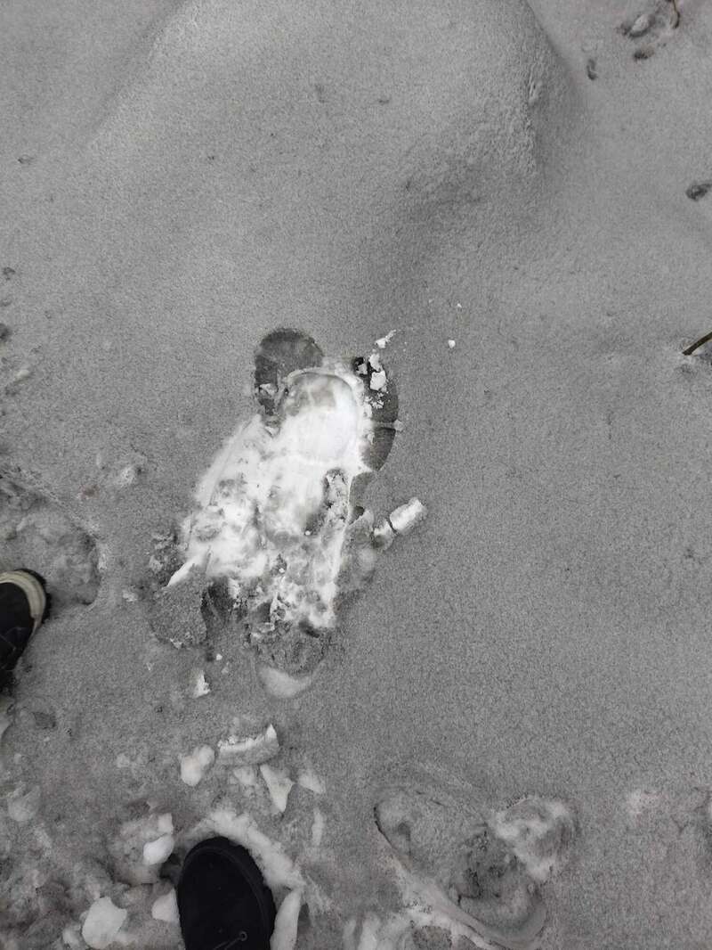 Люди испугались такого явления