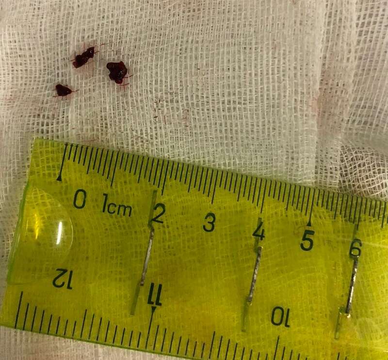 Операция dqxikeidqxidqeant