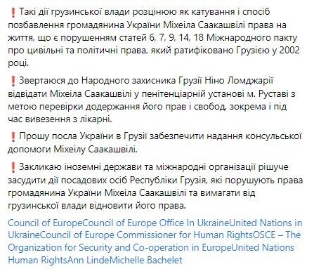 Денисова призвала Народного защитника Грузии посетить Саакашвили