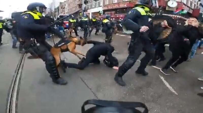 На протестующих натравливают служебных собак dqxikeidqxidqrant