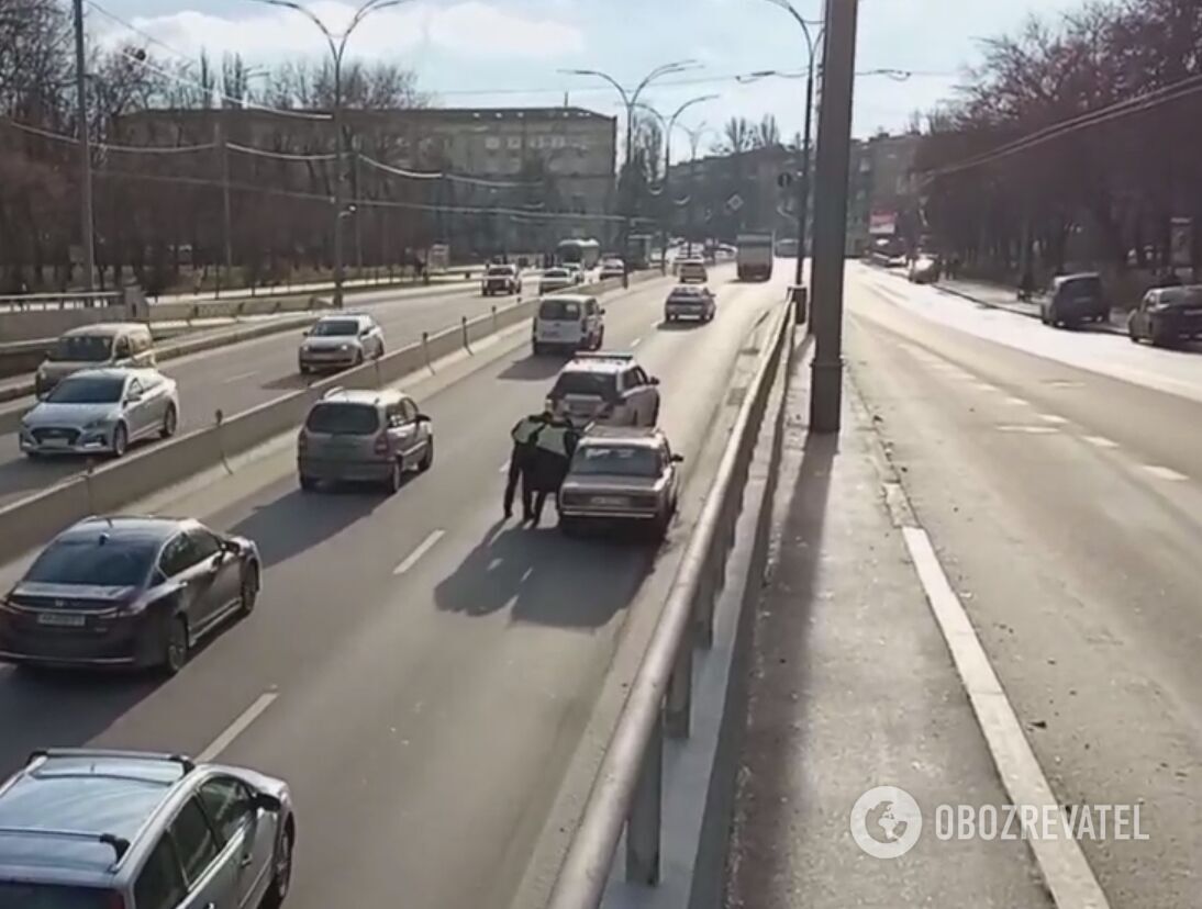 Инцидент случился на улице Елены Телиги. dqxikeidqxidqeant