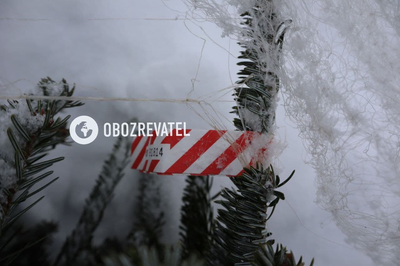 У некоторых деревьев сохранились чипы. dqxikeidqxidqrant