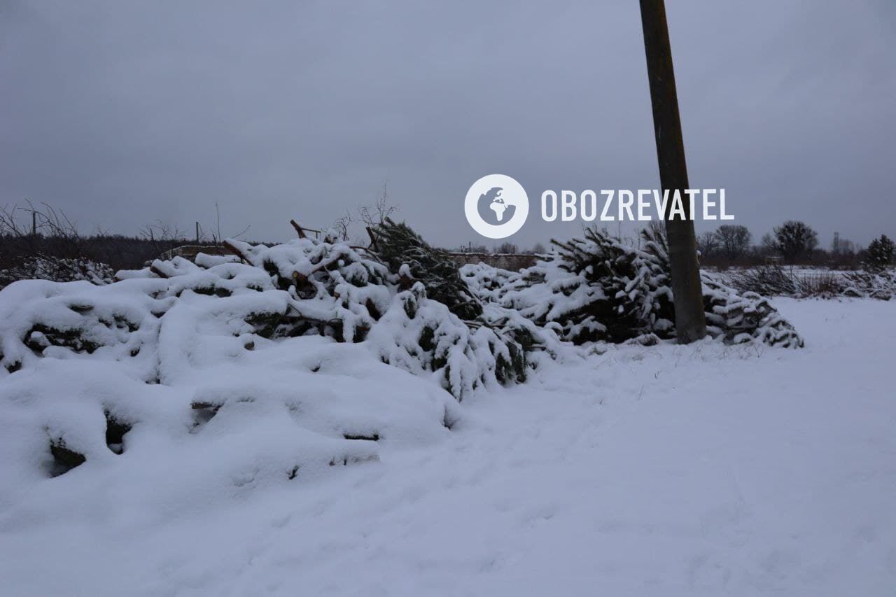 Коммунальщики устанавливают владельцев елок.