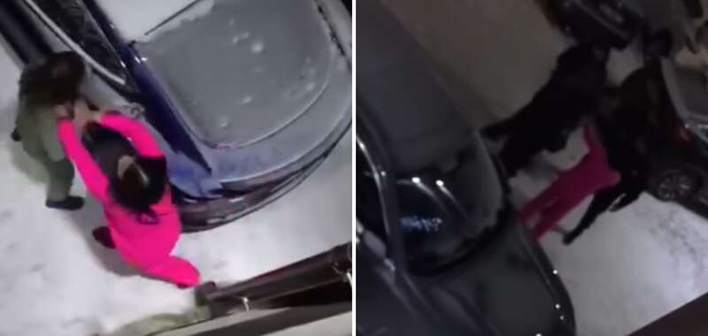 Женщина нападает на других туристов.